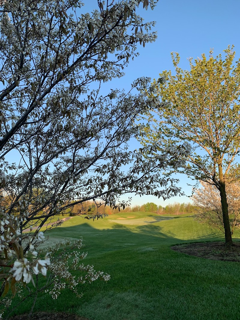 Innisbrook Golf Course