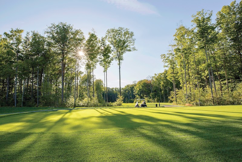 The Nest Golf Club