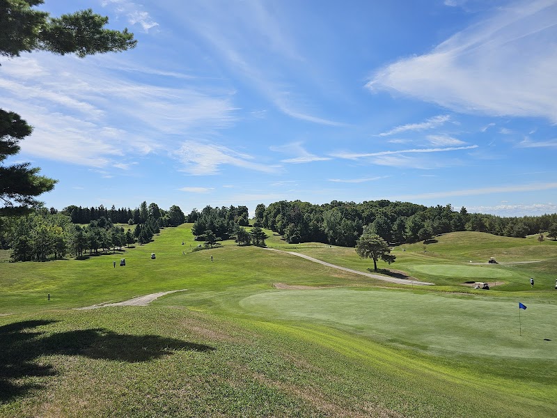 Golfer's Dream