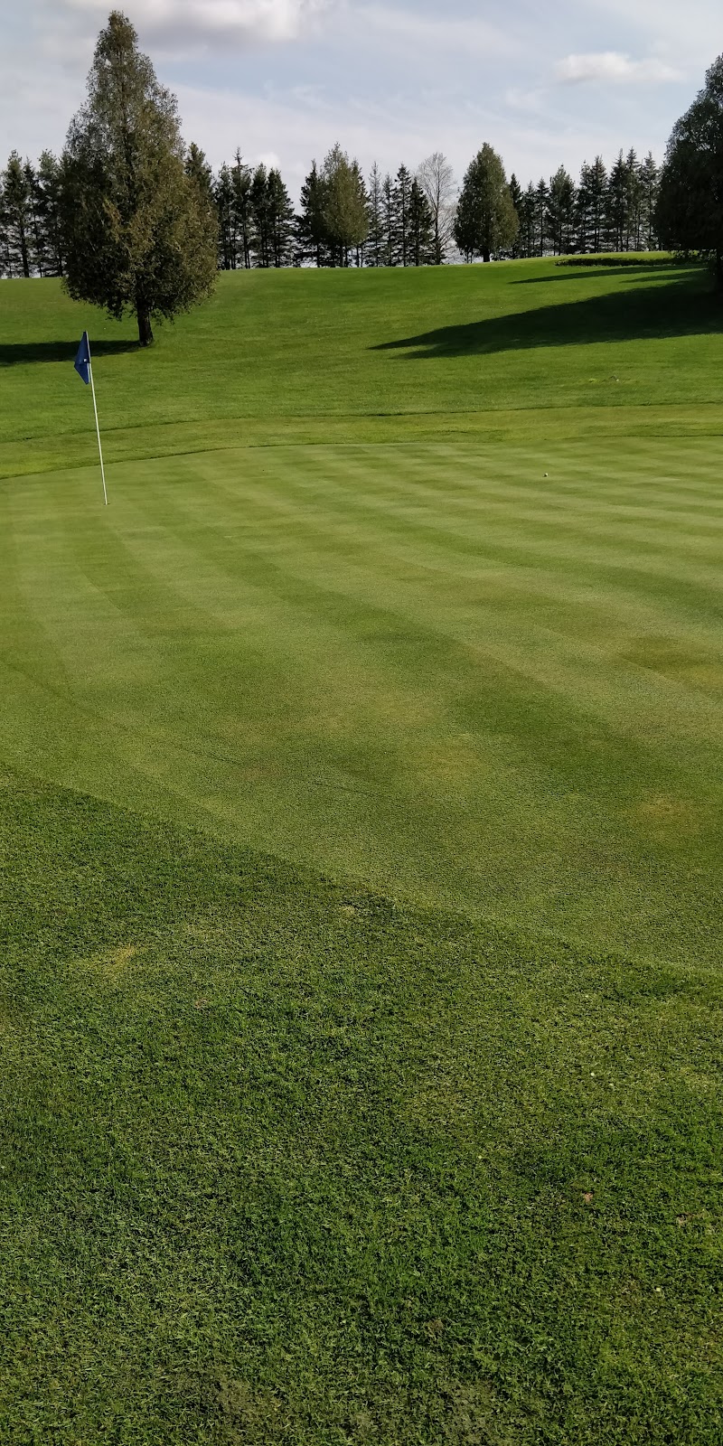 Mount Forest Golf Club