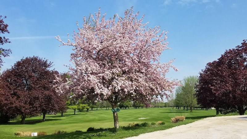 Markdale Golf and Curling Club