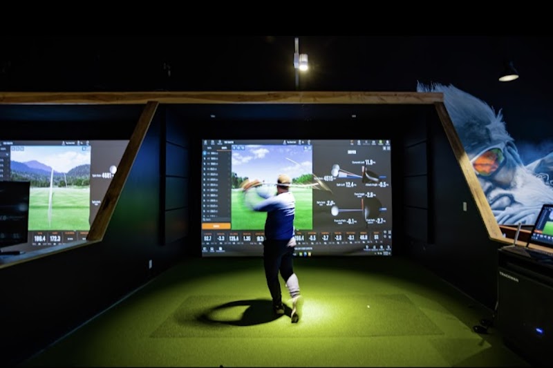 Top Shot Golf